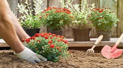 post_thumb_preview