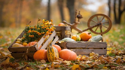 post_thumb_preview