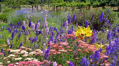 post_thumb_preview