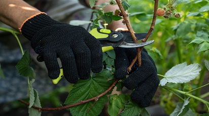post_thumb_preview