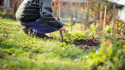 post_thumb_preview