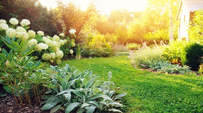 post_thumb_preview