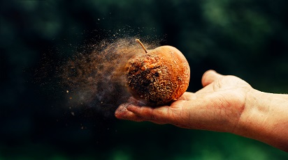 post_thumb_preview