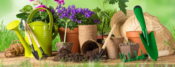 10 sfaturi pentru grădinarul în devenire