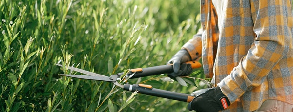 7 lucruri de făcut în grădină în noiembrie