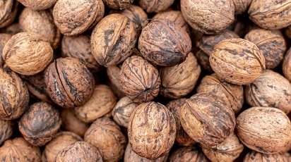 Când se culeg nucile?