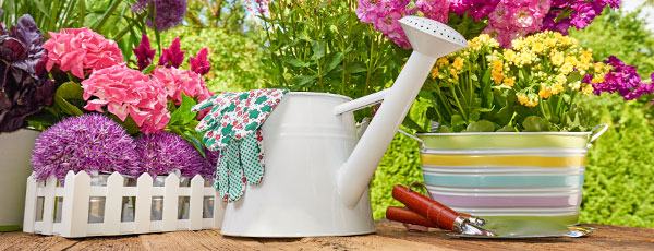 Calendarul lucrărilor din grădină în luna august