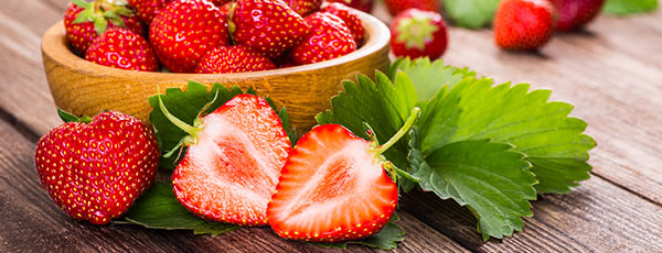 Căpșuni remontanți: tundere, fertilizare, protejare