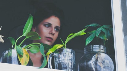 5 plante de interior pe care le poți crește în camere întunecoase