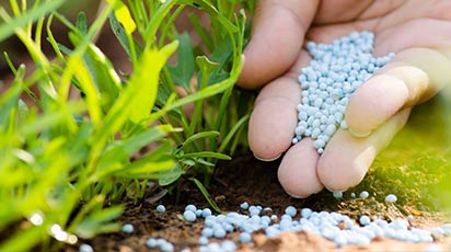 Alegerea și aplicarea îngrășământului potrivit pentru plante
