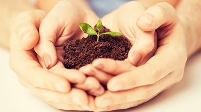 Alegerea solului pentru plante: iată ce trebuie să știi!