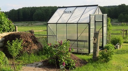 Ce poți cultiva în solar iarna