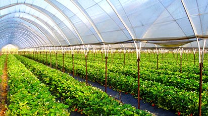 Ce se potrivește mai bine planurilor tale-solarul sau sera