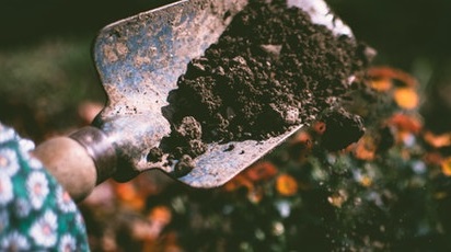 Cele mai comune greșeli în grădinărit și cum să le eviți