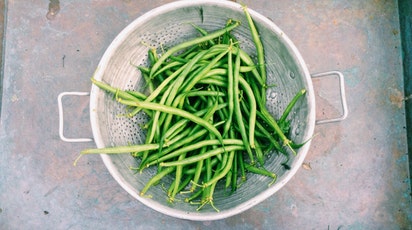 Cum cultivi fasolea păstăi în grădină? Recomandări de semănare și îngrijire