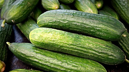 Cum obții o recoltă bogată de castraveți? Plantarea și îngrijirea culturii de castraveți