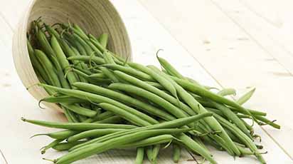 Ghid complet pentru plantarea și îngrijirea culturii de fasole verde