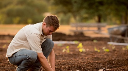 Grădinărește inteligent: amenajarea corectă a straturilor în grădină 