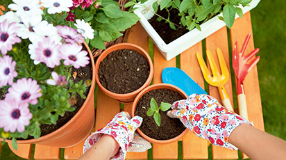 20 de idei-cheie de pus în practică înainte de începerea sezonului de plantare