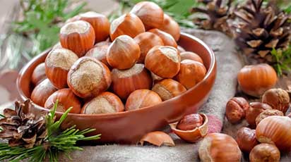 Îngrijirea alunului primăvara: recomandări de la experții grădinari