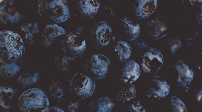 Înmulțirea afinului în grădină: sfaturi utile pentru începători