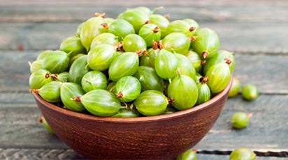 Înmulțirea agrișului primăvara: trucuri pentru începători