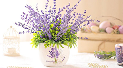 Lavanda acasă – o grădină de arome pe pervazul ferestrei