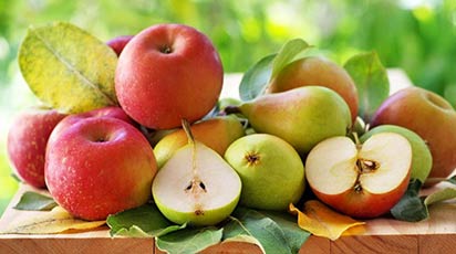 Lucrările de întreţinere şi îngrijire a pomilor fructiferi