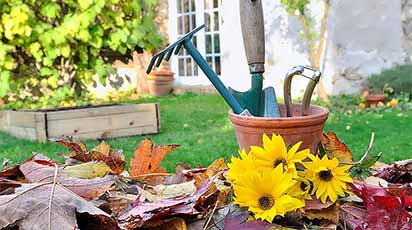 Luna noiembrie în grădină: 3 lucruri la care nu te-ai gândit