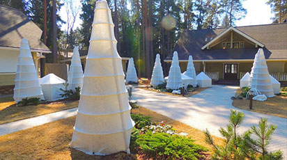 Metode de protejare a plantelor împotriva înghețului. Fertilizanți naturali