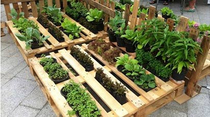 Moduri inedite de utilizare a paleților în grădina ta