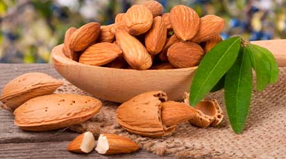 3 sfaturi practice pentru a crește migdalul în grădină