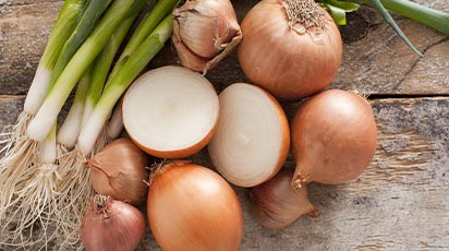 Plantarea arpagicului toamna: sfaturi utile