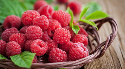 Plantarea ramurilor de zmeur aflate în stare latentă