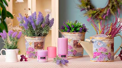 Proprietățile neștiute ale lavandei