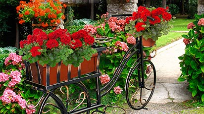 Puterea fierului forjat asupra grădinii tale