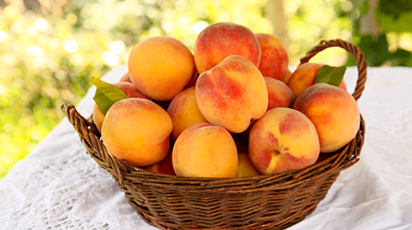 Tăierile la cais: de ce să le faci doar primăvara