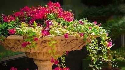 O grădină pregătită de primăvară: top 5 arbuști ornamentali rezistenți la ger