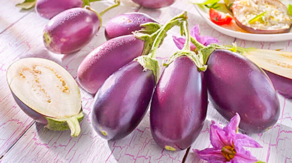 Top 7 plante ideale pentru creșterea pe pervazul ferestrei