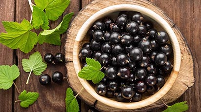 Umple-ți grădina de coacăze negre: îngrijirea culturii și bolile de care să te ferești