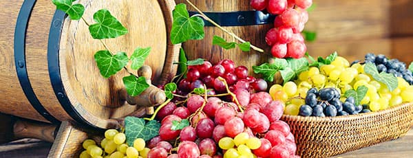 Cum să acoperi corect vița de vie pentru iarnă