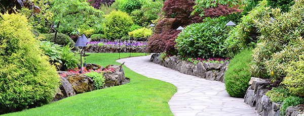 Îngrijirea gazonului vara: secretele unui gazon impecabil