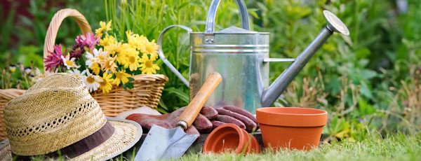 Календар на градинарите — юли 2022 г