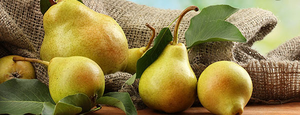 Календар на градинаря за август