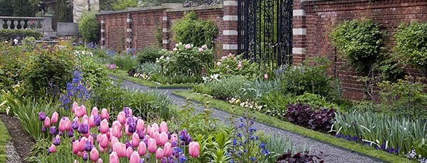 Ogród w stylu "Old Money" - rośliny i wystrój