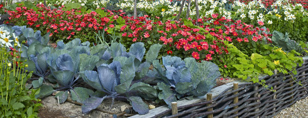 Повдигнати лехи - предимства и недостатъци