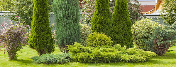 Тенденции в градинския дизайн за 2025 г.: градината като продължение на дома, микродървесина и Mocha Mousse (PANTONE)17-1230