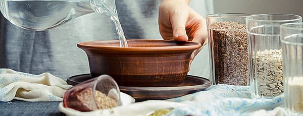 Tratarea semințelor înainte de semănat: cele mai eficiente metode