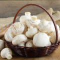 Champignon Alb imagine 3 articol 9742