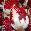 Cicoare de frunze (radicchio) Rossa di Treviso imagine 2 articol 69457